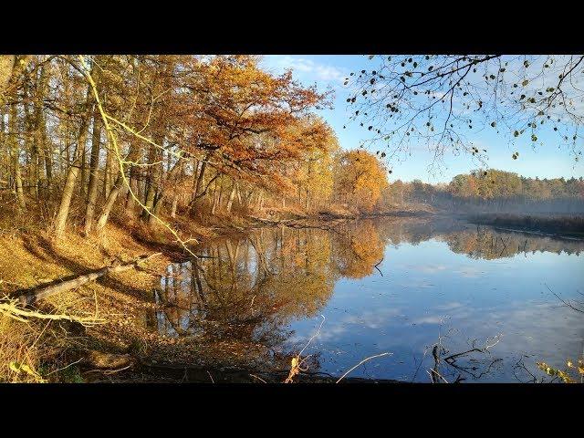 LAS NADODRZAŃSKI – DOLINA ŚRODKOWEJ ODRY – NATURA 2000 – HAWKEYE FIREFLY 8s + GIMBAL