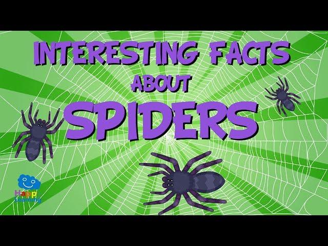 Interesting facts about Spiders | Educational Video for Kids.