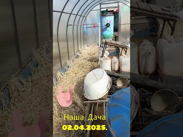 Открываем дачный сезон.Дождались #нашажизньлн