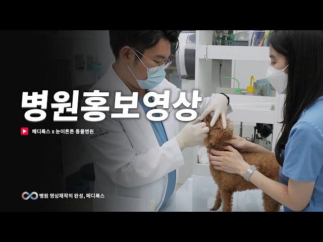 수원 눈이튼튼 동물병원 #병원홍보영상