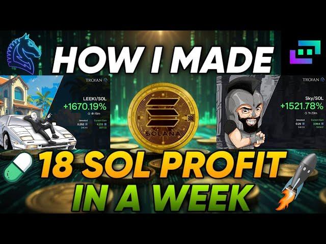 How I Made 18 SOL Profit in a Week! Solana Meme Coin Copy Trading Results Proof Trojan Bot Zelfiguru