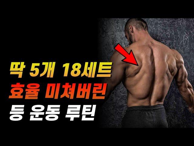 등 운동 루틴 상부부터 하부 광배근까지 다 털어주는 5종목 18세트