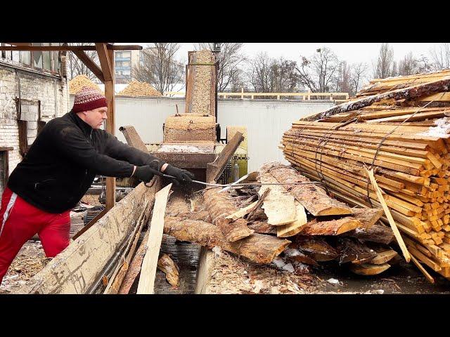 ️ Efficient Production of Wood Chips on an Old Giant from Wood Waste ️