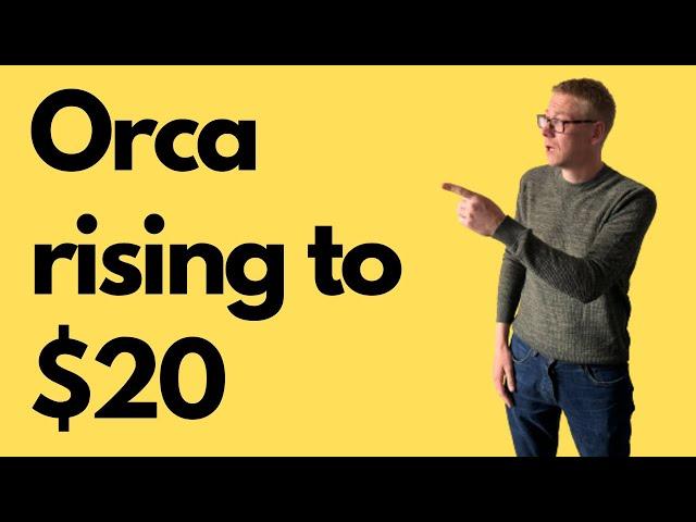 Orca crypto review 2024 - could 22x