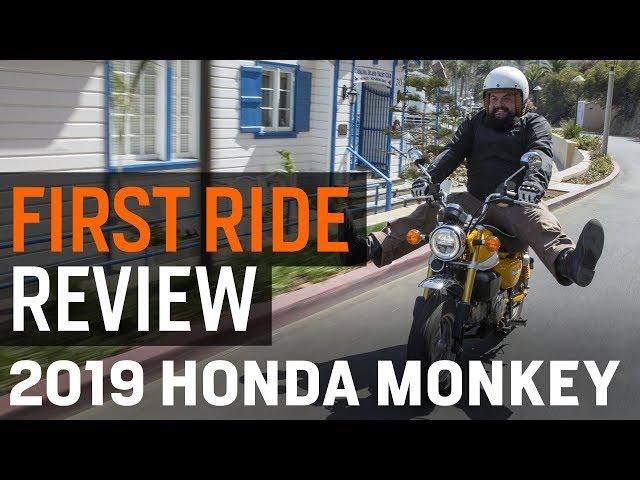 Honda Monkey First Ride Review