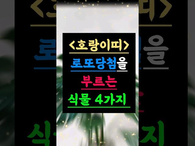 로또 당첨을 부르는 호랑이띠의 비밀 식물 4가지 #호랑이띠운세 #로또당첨 #식물풍수