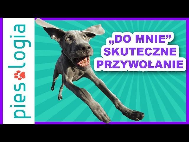 "Do mnie" Nauka skutecznego przywołania