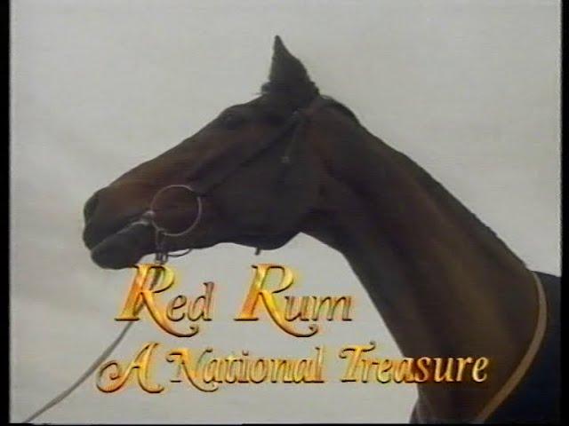 Red Rum A National Treasure