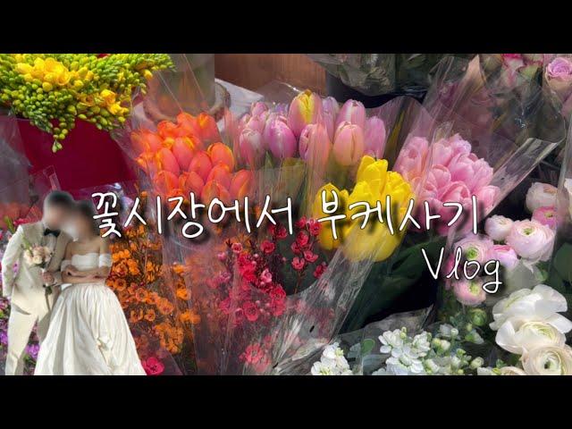 [vlog]꽃시장 (부산자유도매시장) 브이로그 | 웨딩촬영 | 부케 | 안개꽃 | 장미 | 망고튤립 | 