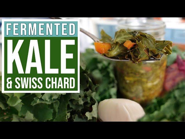 FERMENTED KALE & SWISS CHARD - Intermediate Level Fermenter