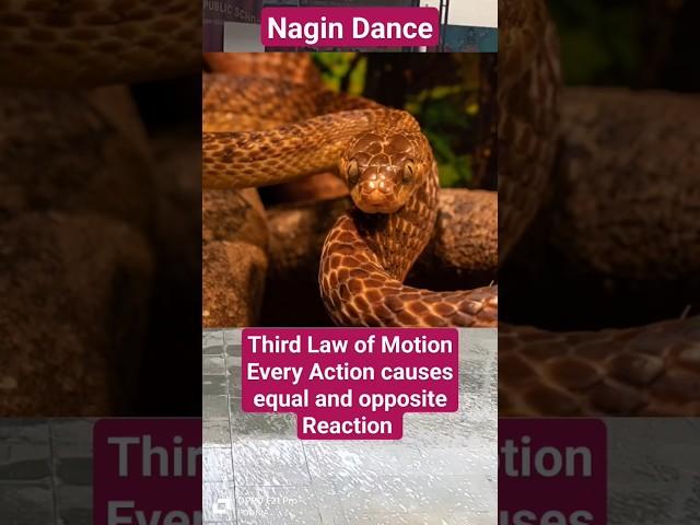 Third law of motion #Force and Laws #sciencewallah #physicswalaah #physics #viralshorts #viralvideo