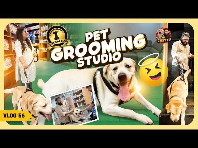 Chottu Mind Voice: இதுதான் அந்த Beauty parlour 'ah | Fur ever Pets Grooming Studio | Vlog 56