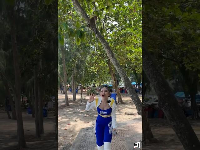 Girl x Monkey #shorts #monkey #cutegirl #beach