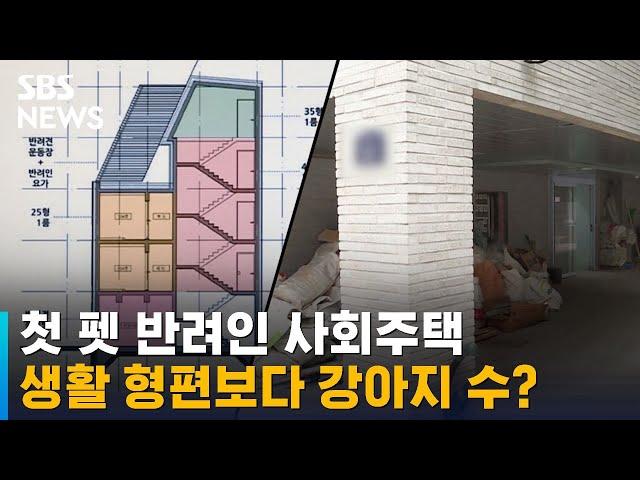 첫 펫 반려인 사회주택, 생활 형편보다 강아지 수? / SBS