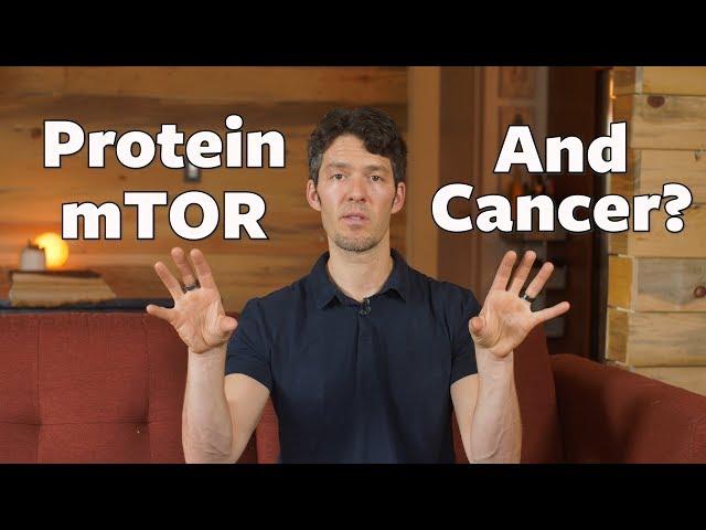 mTOR, Protein  & Cancer: new science MIT's David Sabatini