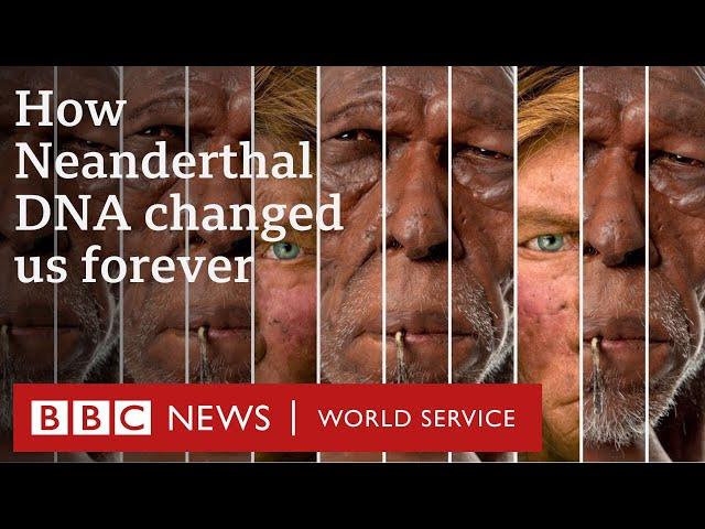 How sex with Neanderthals changed us forever - BBC World Service