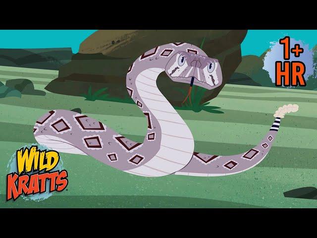 BE CAREFUL, IT'S POISONOUS | Snakes and More Poisonous Animals | Wild Kratts | 9 Story Kids