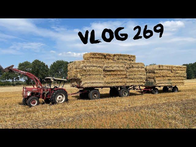 Farmvlog #269 |  Stroh Mafia