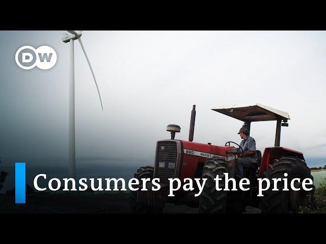 Uruguay's price for using almost 100% renewable energy | DW News