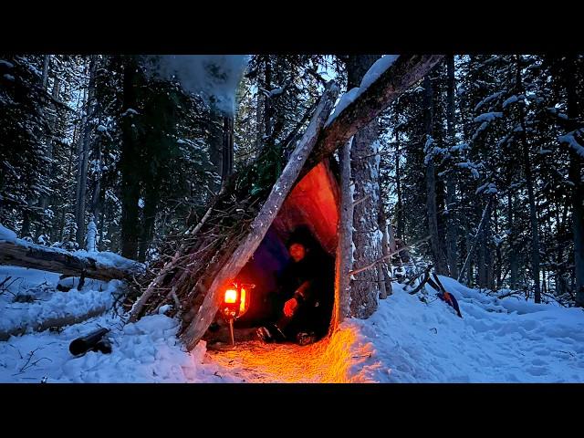 3 Days SOLO SURVIVAL in Winter Shelter | -20° Camp in Bushcraft Cabin Build