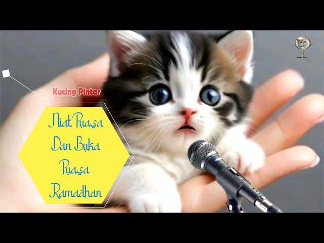 KUCING PINTAR BACA NIAT PUASA DAN BERBUKA PUASA RAMADHAN