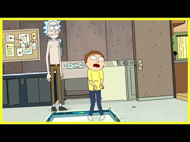 Morty experiences true level (Rick and Morty)