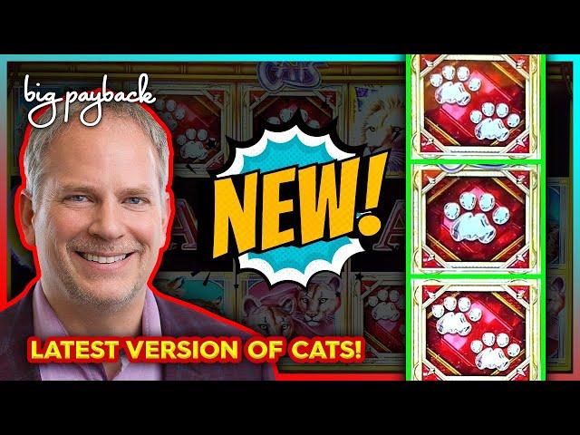 HOT NEW SLOT! Split 'N' Win Link Cats!