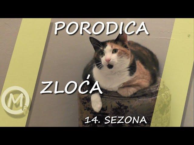 Porodica Zloća - Epizoda 619 (Season 14)