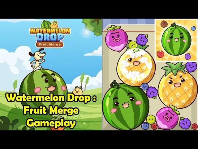 Watermelon Drop : Fruit Merge High Score Gameplay