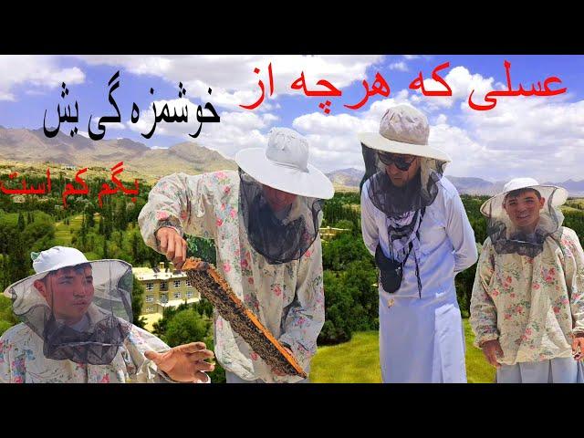 عسل خوشمزه جاغوری و منطقه زیبای جاغوری واقعا دیدنیست️#afghan #jaghori #2024 #nature #village #honey