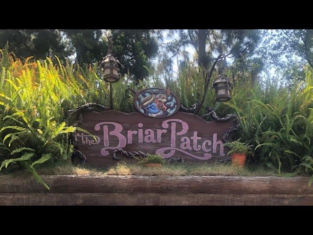 The Briar Patch