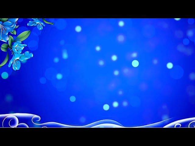 Beautiful background video | fantasy blue flowers background | background video animation hd