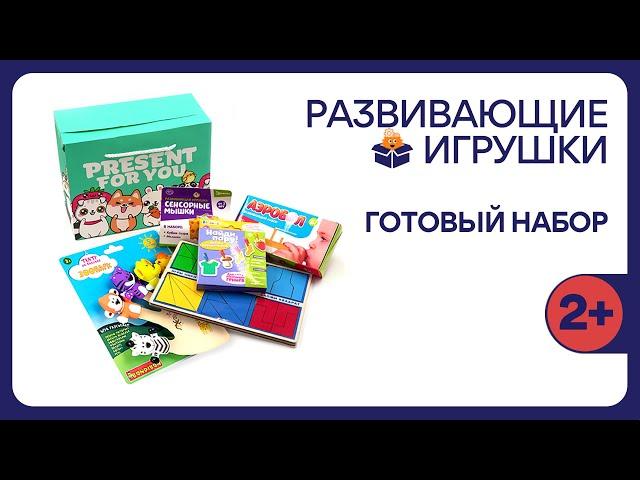 Развивающий набор игрушек 2+