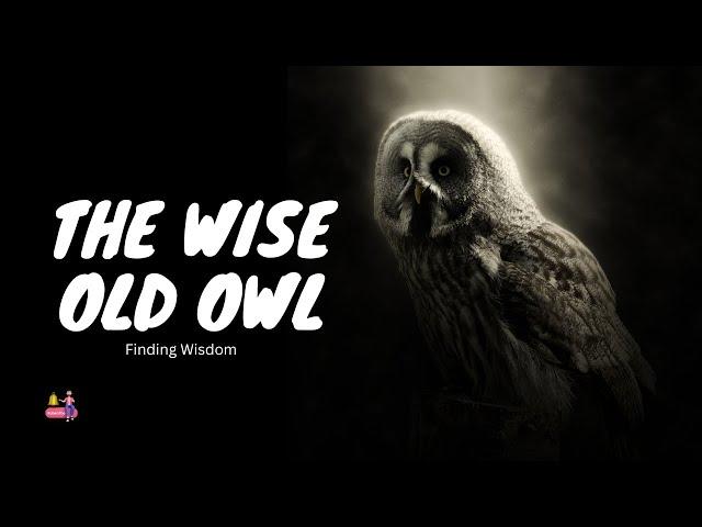 The Wise Old Owl | Finding Wisdom | Motivational Story