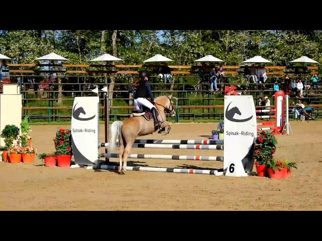 Pony Show Jumping - Children