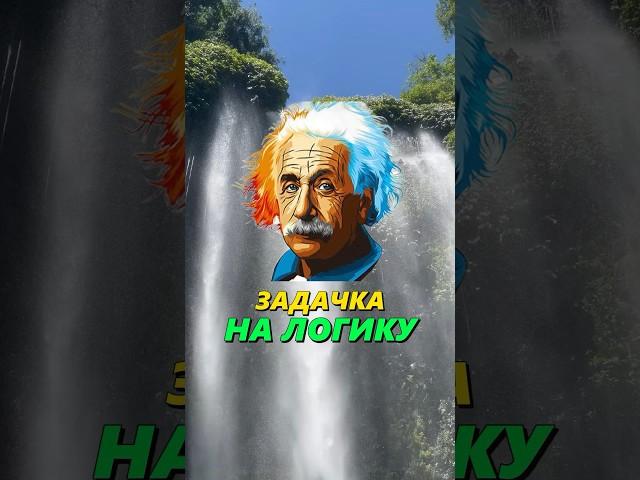 Задачка НА ЛОГИКУ! #задачиналогику #задачканасмекалку #загадкиналогику #загадка