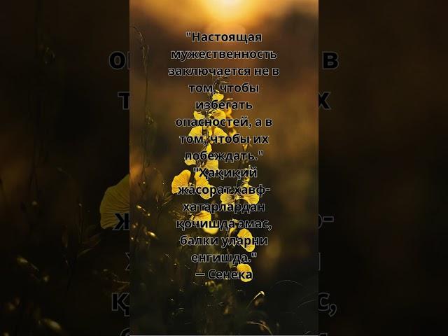 Мудрость Сенеки: Вечные Цитаты.#Сенека#Философия#Мудрость#Цитаты#ДревняяГреция