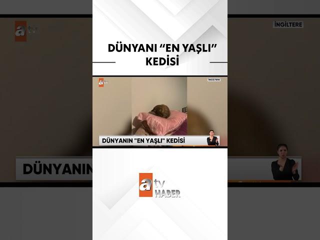 Dünyadan ilginç haberler #atvhaber #shorts