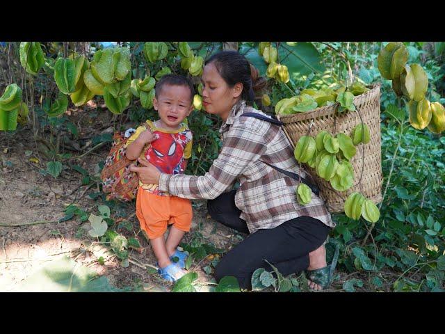 Single mother: Harvesting natural fruits to sell - cooking nutritious porridge | Build a farm