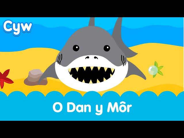 Cân O Dan y Môr Cyw | Cyw's Under the Sea Song
