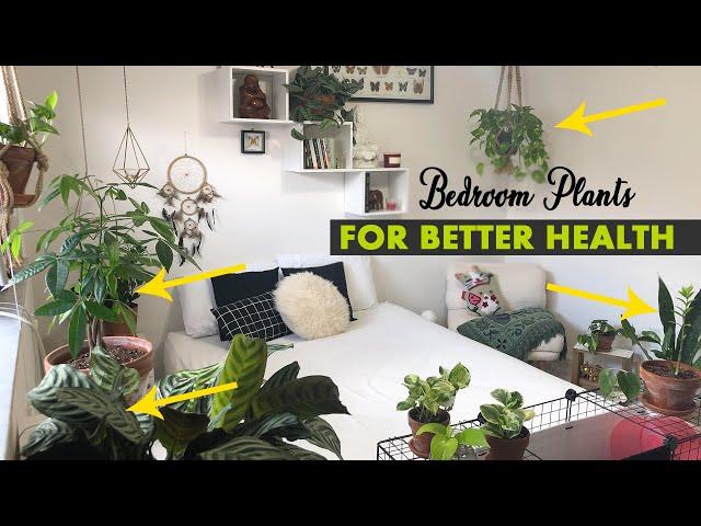 Best bedroom plants for HEALTH | Bedroom plants ideas for better sleep