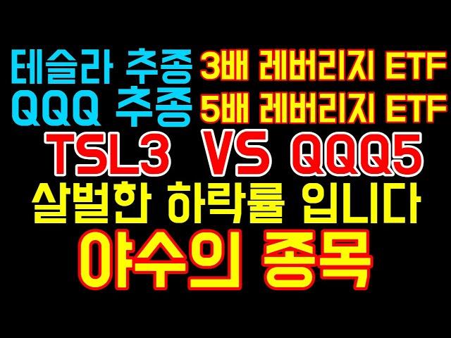 [야수의 종목] TSL3 VS. QQQ5 살벌한 하락률 입니다 I  절대 투자 하지 마세요 큰일 납니다. I TSL3 -1.59% I QQQ5 -1.7% I 테슬라 I QQQ I