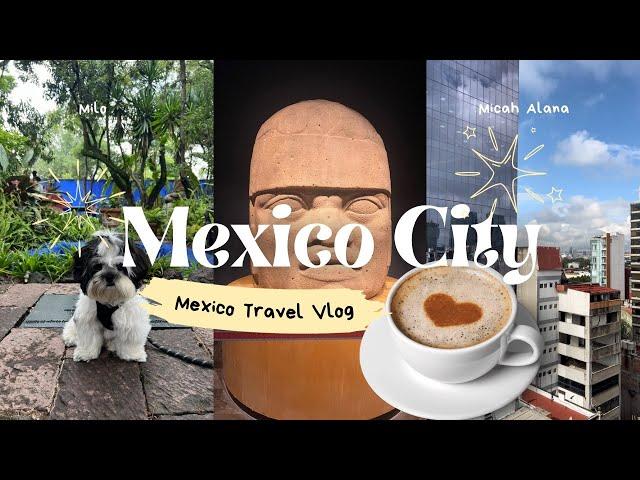 Exploring Mexico City in 2024 | CDMX travel diary | Travel Vlog Itinerary | Pet Travel | Micah Alana