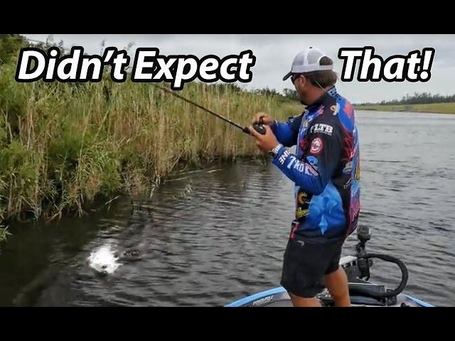 How to Fish a Spinnerbait - Scott Martin - Everything you need to know.