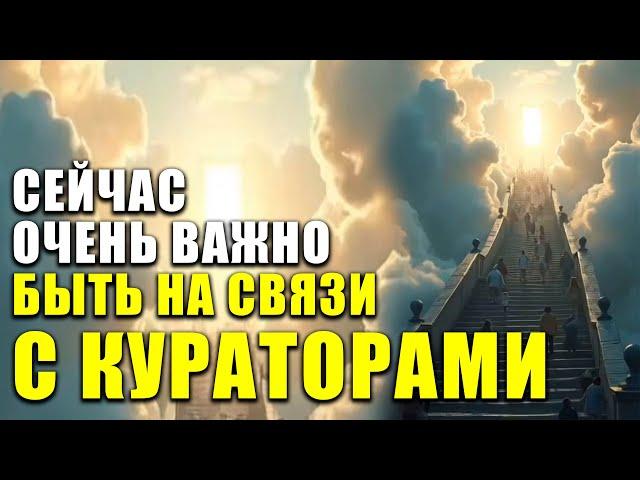 МИР ТЁМНЫХ ЦИ? Уроки опыта и путь к духовному вознесению!
