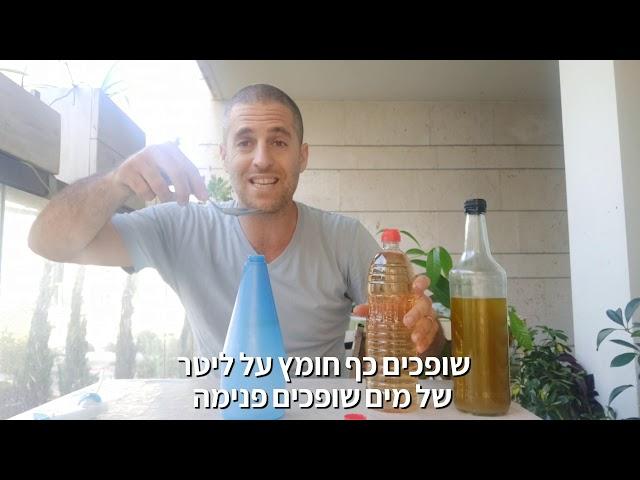 הדברה ביתית פשוטה וזולה - איך מחסלים את הכנימות על הצמחים בגינה באמצעות ריסוס בחומרים טבעיים