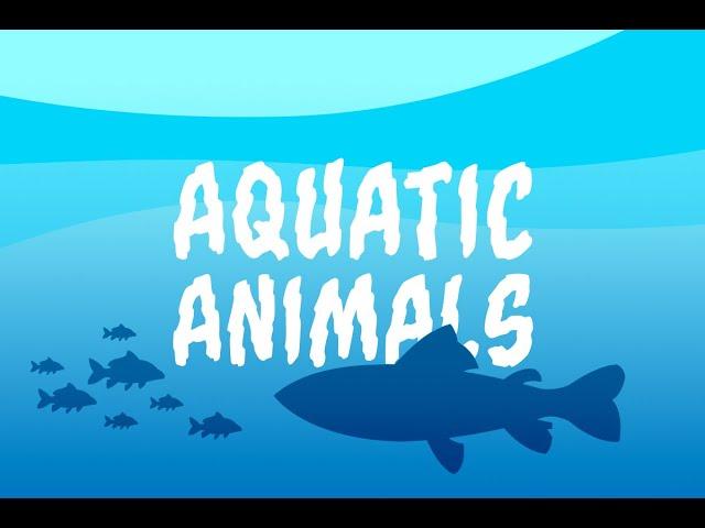 Images of Aquatic Animals