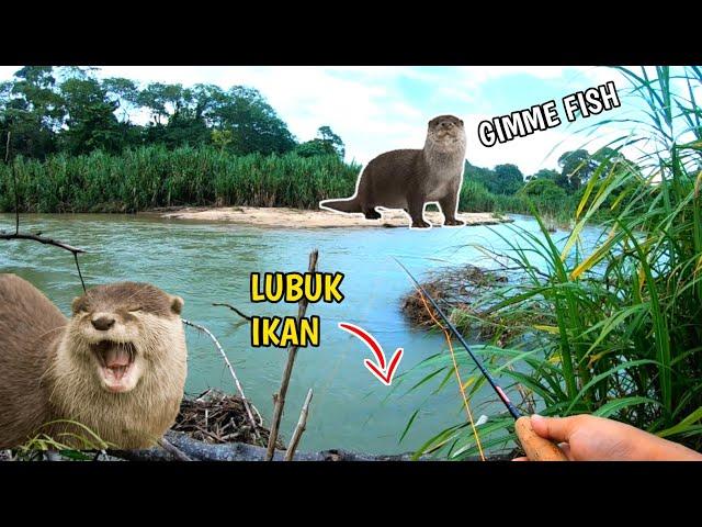 Berebut Lubuk Ikan Dengan MEMERANG