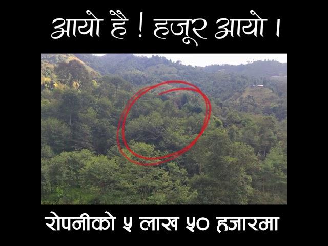 6 Ropani Land for sale at Bhardev, Lalitpur.