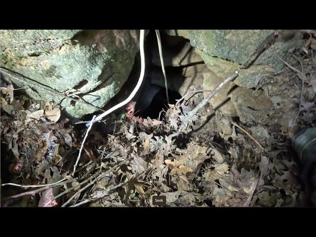 200ft Deep Sinkhole Behind 911 Center With Bones At The Bottom